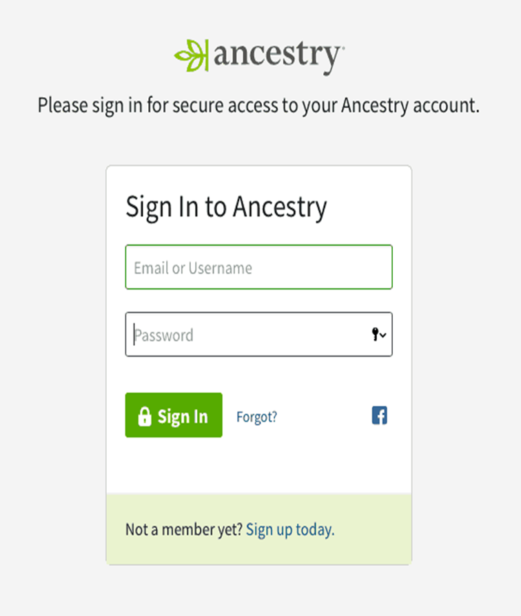 ancestry family tree visual